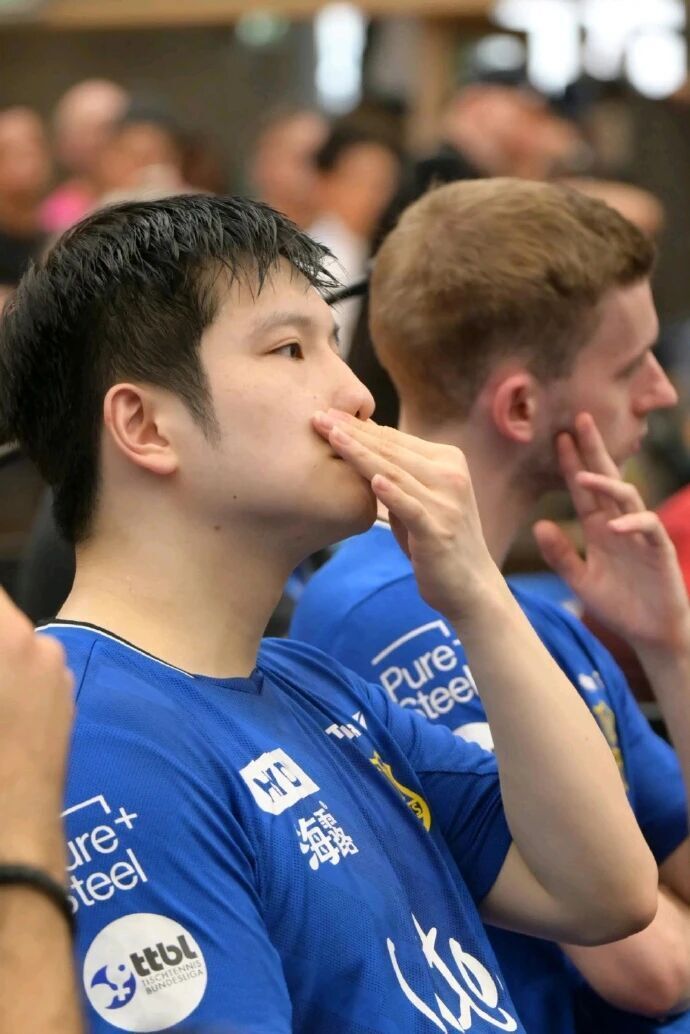 振东在德甲 振东在德甲