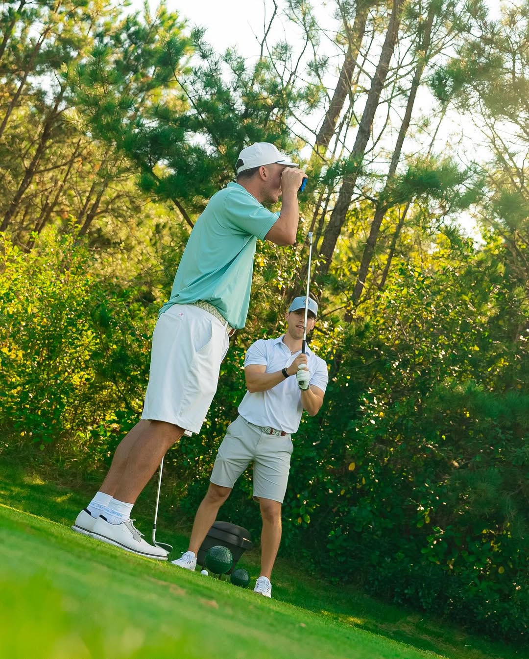 msn, 晒出一组自